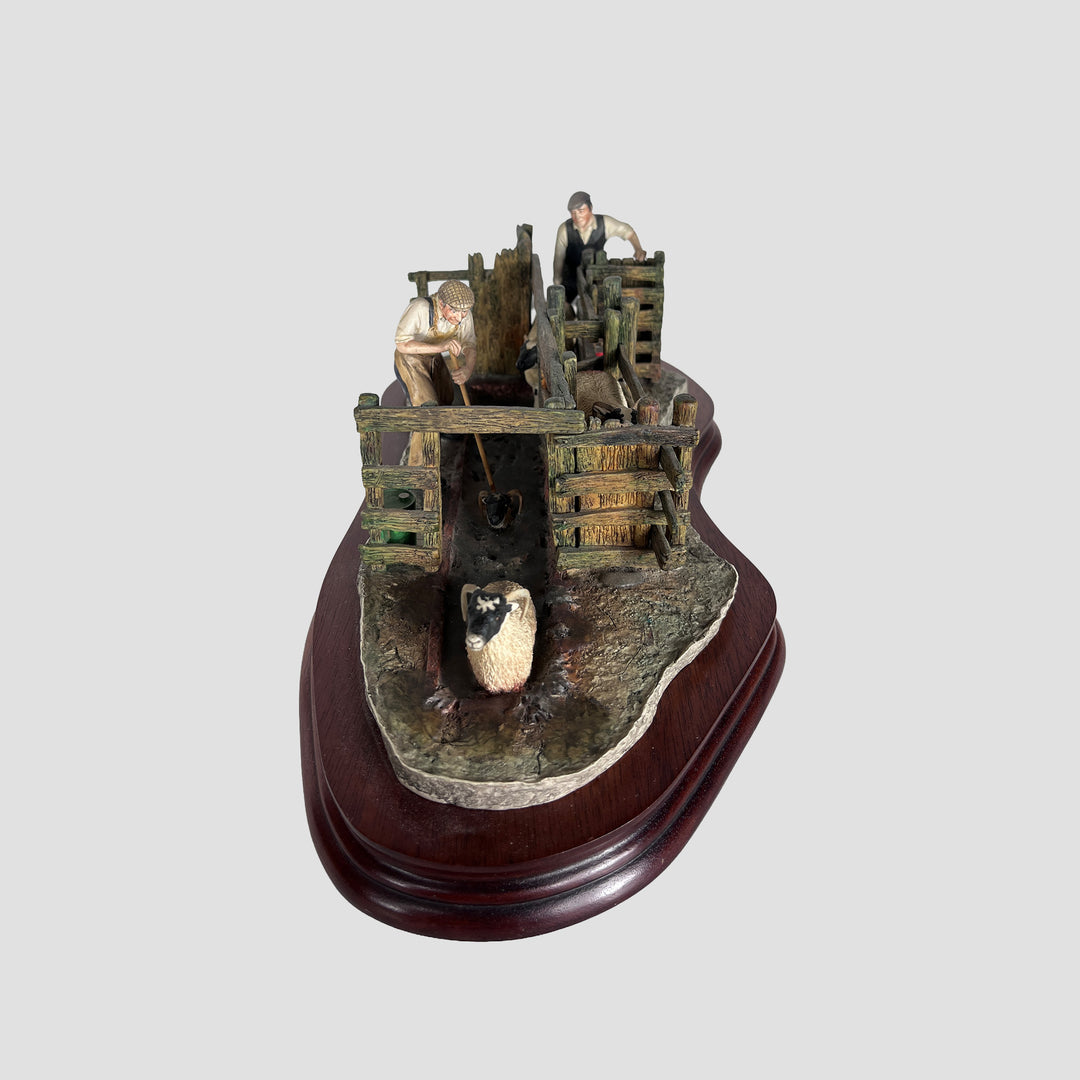 Twice Under Sheep Dipping Model Border Fine Arts