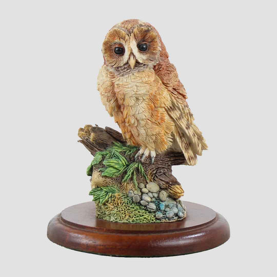 Tawny Owl Style Four Border Fine Arts