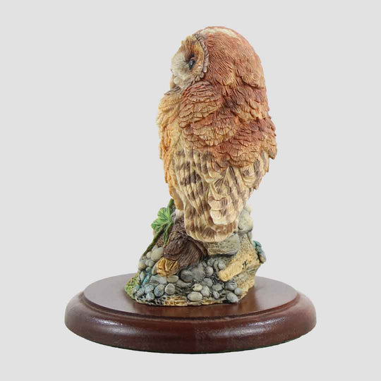 Tawny Owl Style Four Border Fine Arts