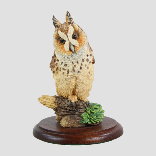 Long Eared Owl The Russell Willis Collection by Chiltern