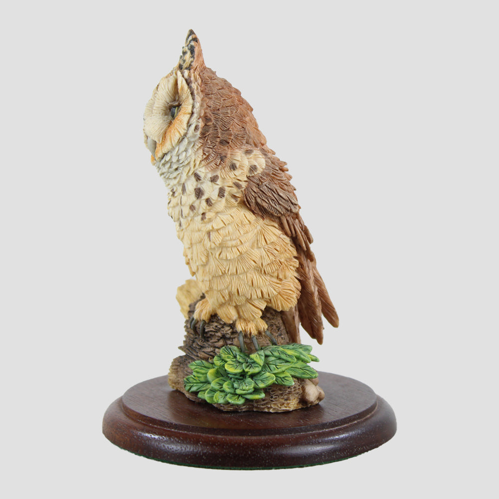 Long Eared Owl The Russell Willis Collection by Chiltern