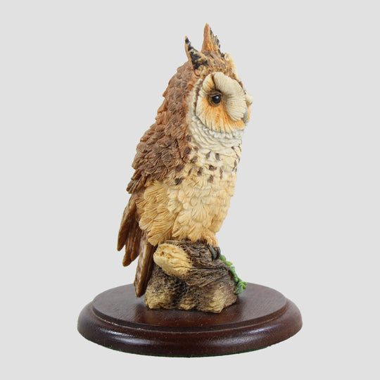 Long Eared Owl The Russell Willis Collection by Chiltern