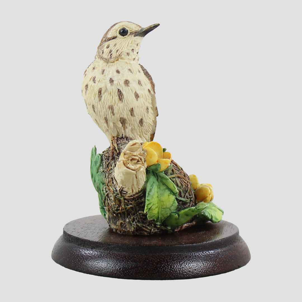 Mini Song Thrush And Nest Border Fine Arts Birds