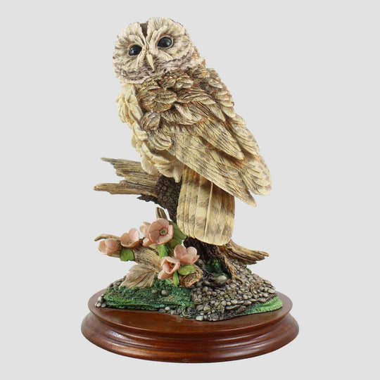 Tawny Owl Style Five Border Fine Arts