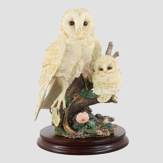 Barn Owl And Chick Border Fine Arts