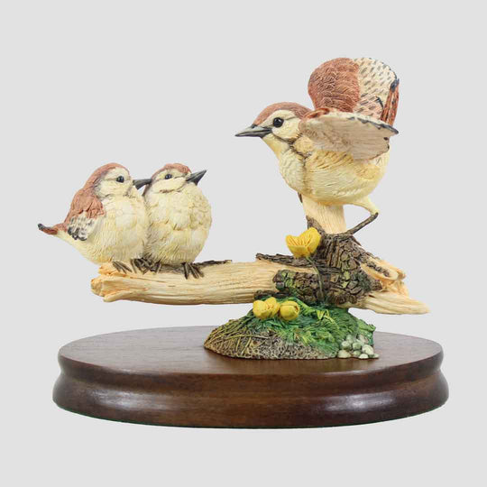 Wren And Chicks On Branch Border Fine Arts Birds