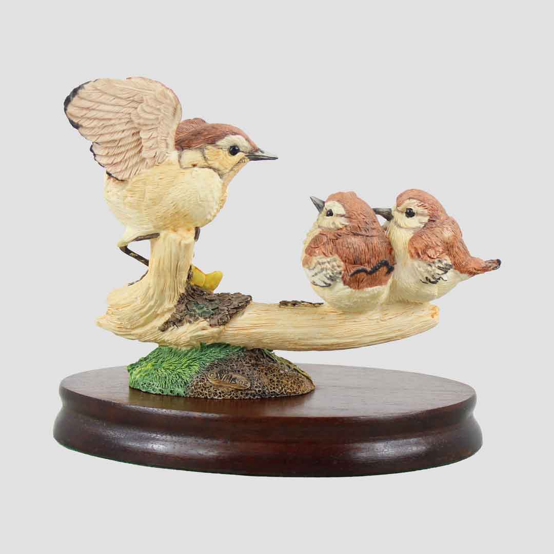 Wren And Chicks On Branch Border Fine Arts Birds