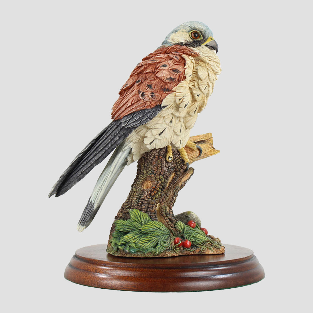 Kestrel Border Fine Arts Birds