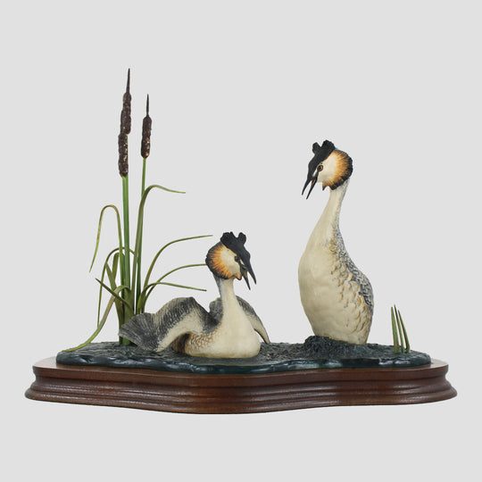 Courting Grebes Border Fine Arts Birds