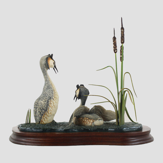 Courting Grebes Border Fine Arts Birds