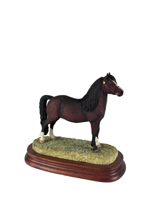 Welsh Mountain Pony Bay Border Fine Arts Horses