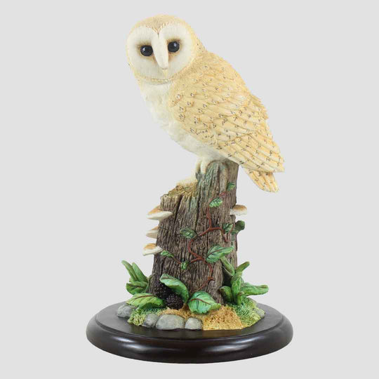 Sitting Barn Owl Border Fine Arts