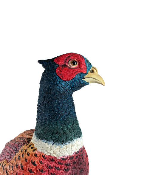 Autumn Glory Border Fine Arts Pheasant