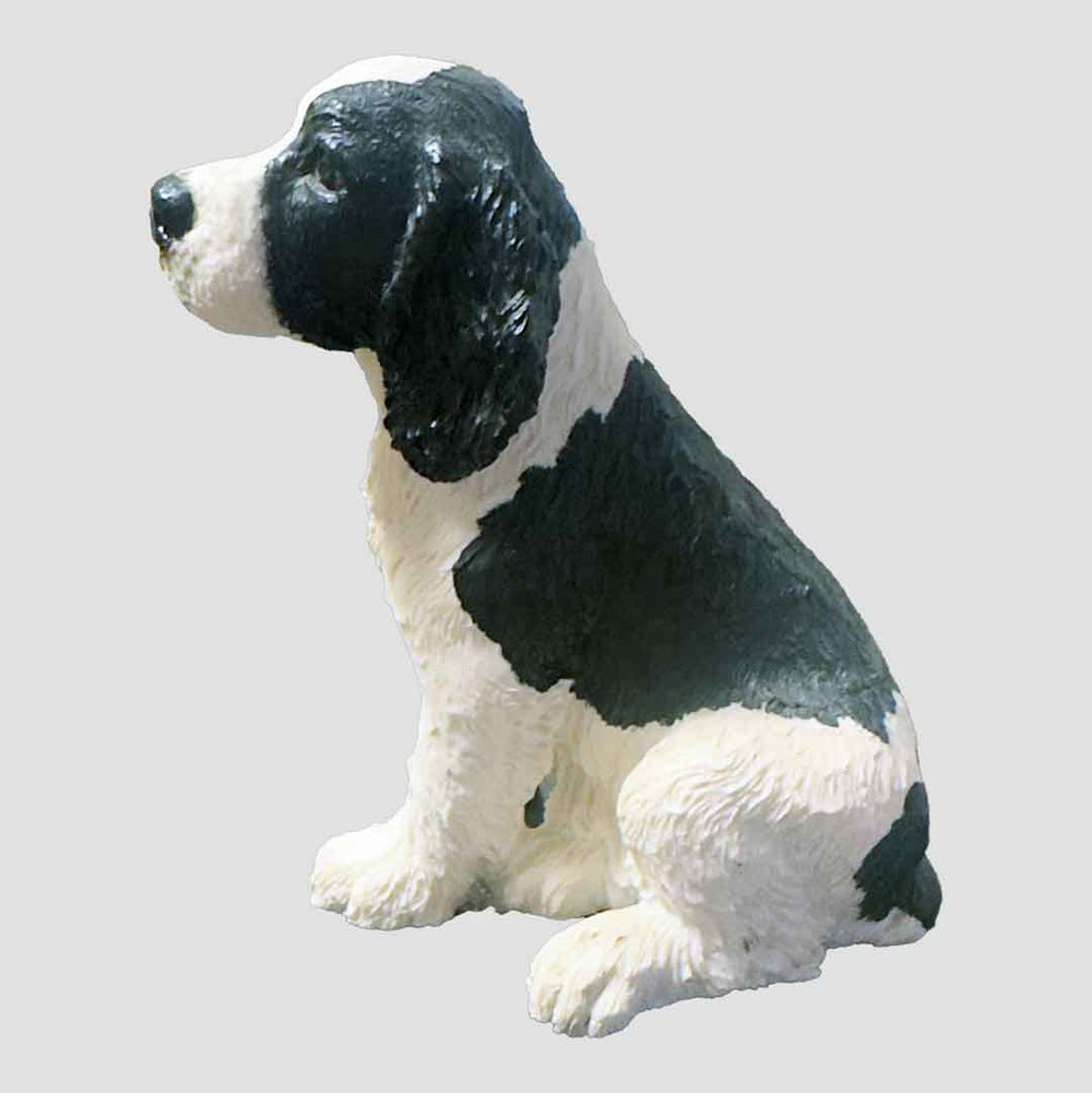 English Springer Spaniel Puppy Border Fine Arts