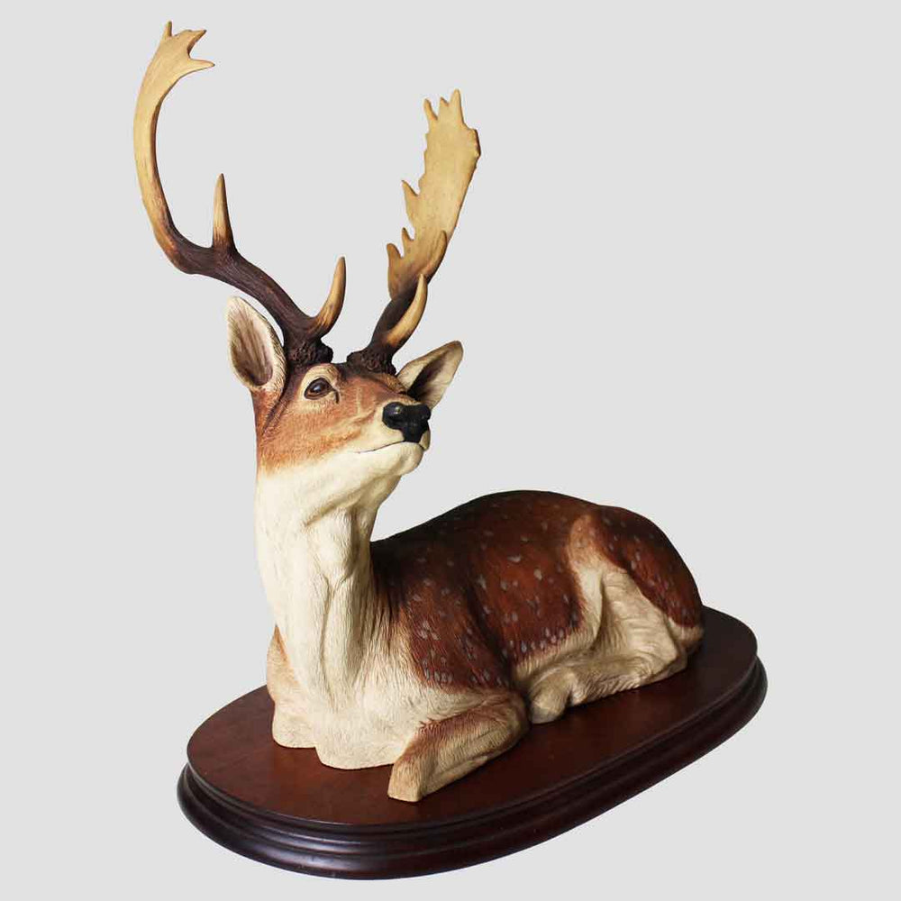 Fallow Buck Border Fine Arts