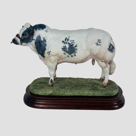Belgian Blue Bull Style One Border Fine Arts Cattle Model by Ray Ayres with Original Certificate