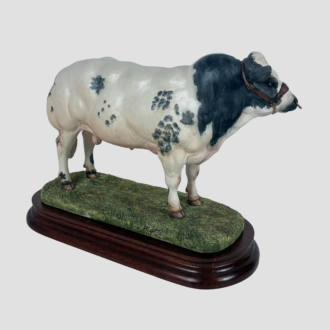 Belgian Blue Bull Style One Border Fine Arts Cattle Model by Ray Ayres with Original Certificate