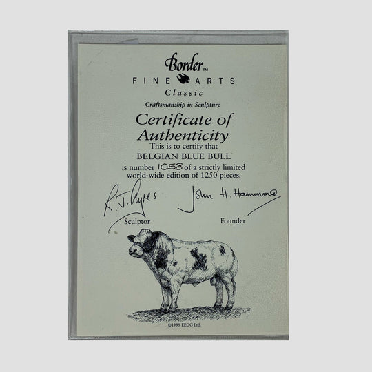 Belgian Blue Bull Style One Border Fine Arts Cattle Model by Ray Ayres with Original Certificate