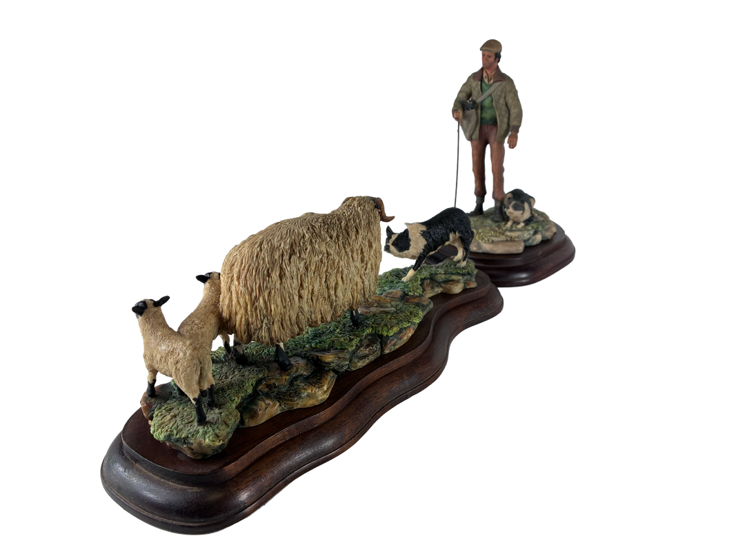 Blackfaced Ewe And Border Collie  and Collie and Shepherd Border Fine Arts