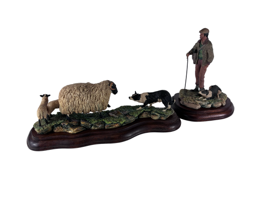 Blackfaced Ewe And Border Collie  and Collie and Shepherd Border Fine Arts