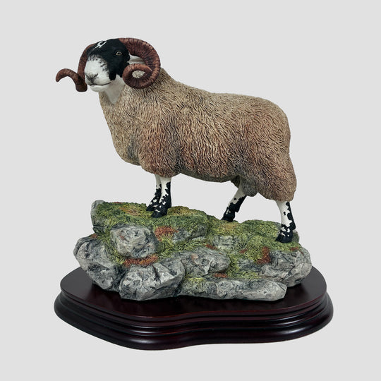 Blackie Tup Border Fine Arts Sheep Model by Ray Ayres Original Box and Certificate