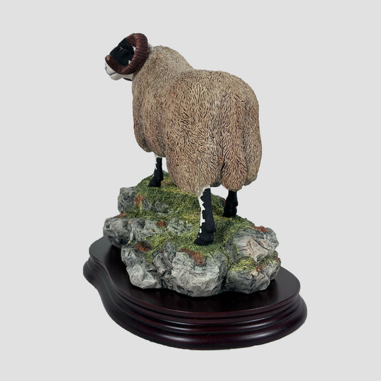 Blackie Tup Border Fine Arts Sheep Model by Ray Ayres Original Box and Certificate
