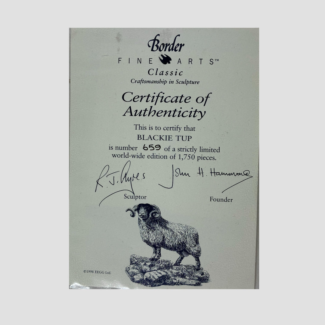 Blackie Tup Border Fine Arts Sheep Model by Ray Ayres Original Box and Certificate