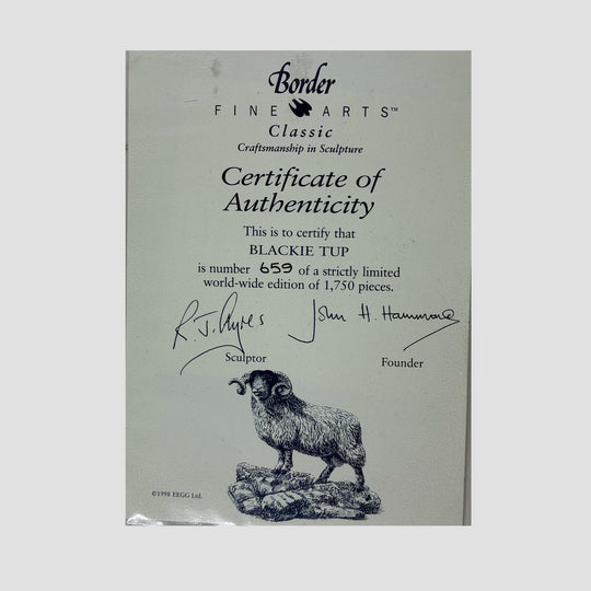 Blackie Tup Border Fine Arts Sheep Model by Ray Ayres Original Box and Certificate