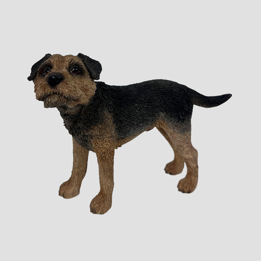 Border Terrier Leonardo Dog Model