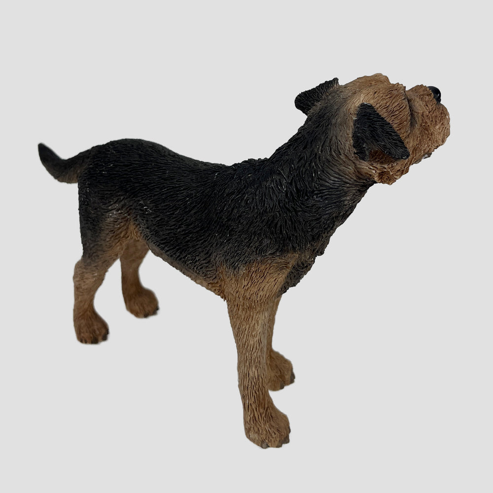 Border Terrier Leonardo Dog Model