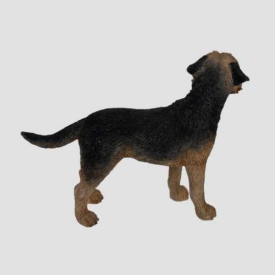 Border Terrier Leonardo Dog Model