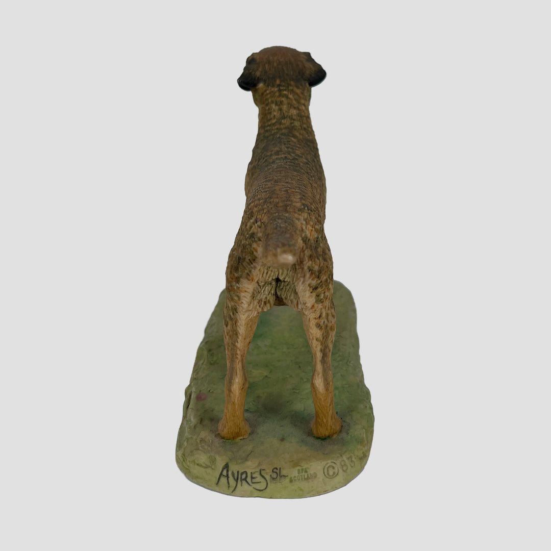 Border Terrier Border Fine Arts Dog Model Sculpted by Ray Ayres