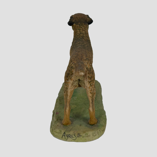 Border Terrier Border Fine Arts Dog Model Sculpted by Ray Ayres