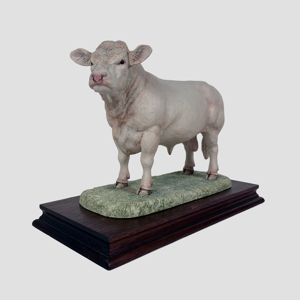 Charolais Bull Style One Border Fine Arts Cattle Model by Ray Ayres