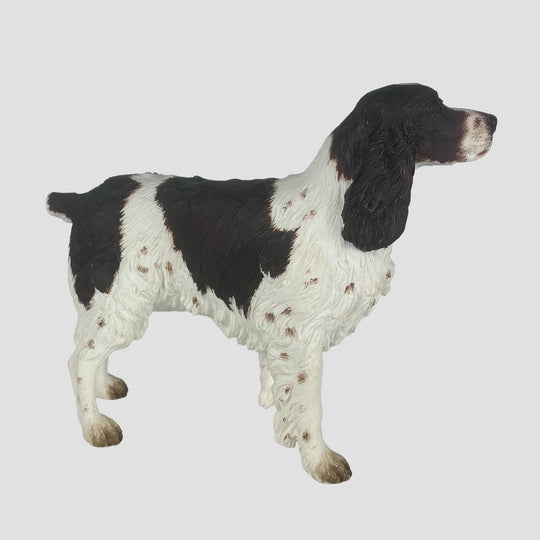 English Springer Liver and White Border Fine Arts Dog Model