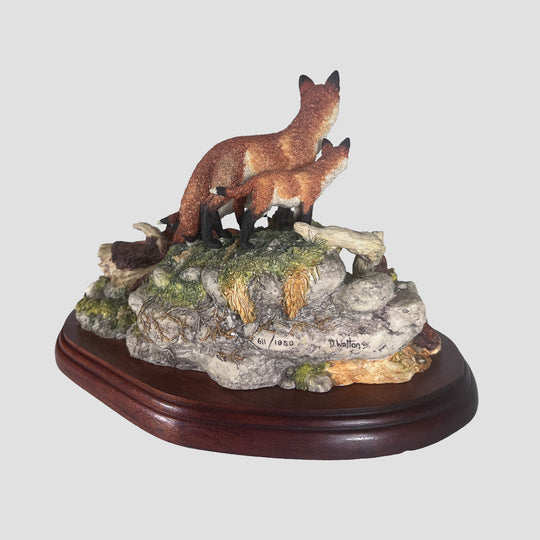 Family Outing Border Fine Arts Foxes
