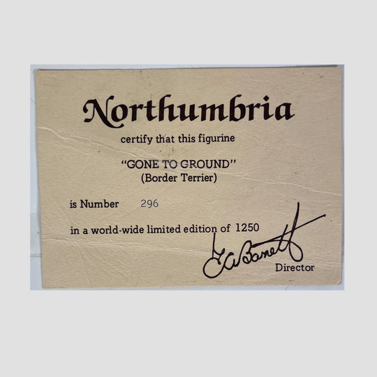 Gone to Ground Border Terriers Model by Northumbria Original Certificate