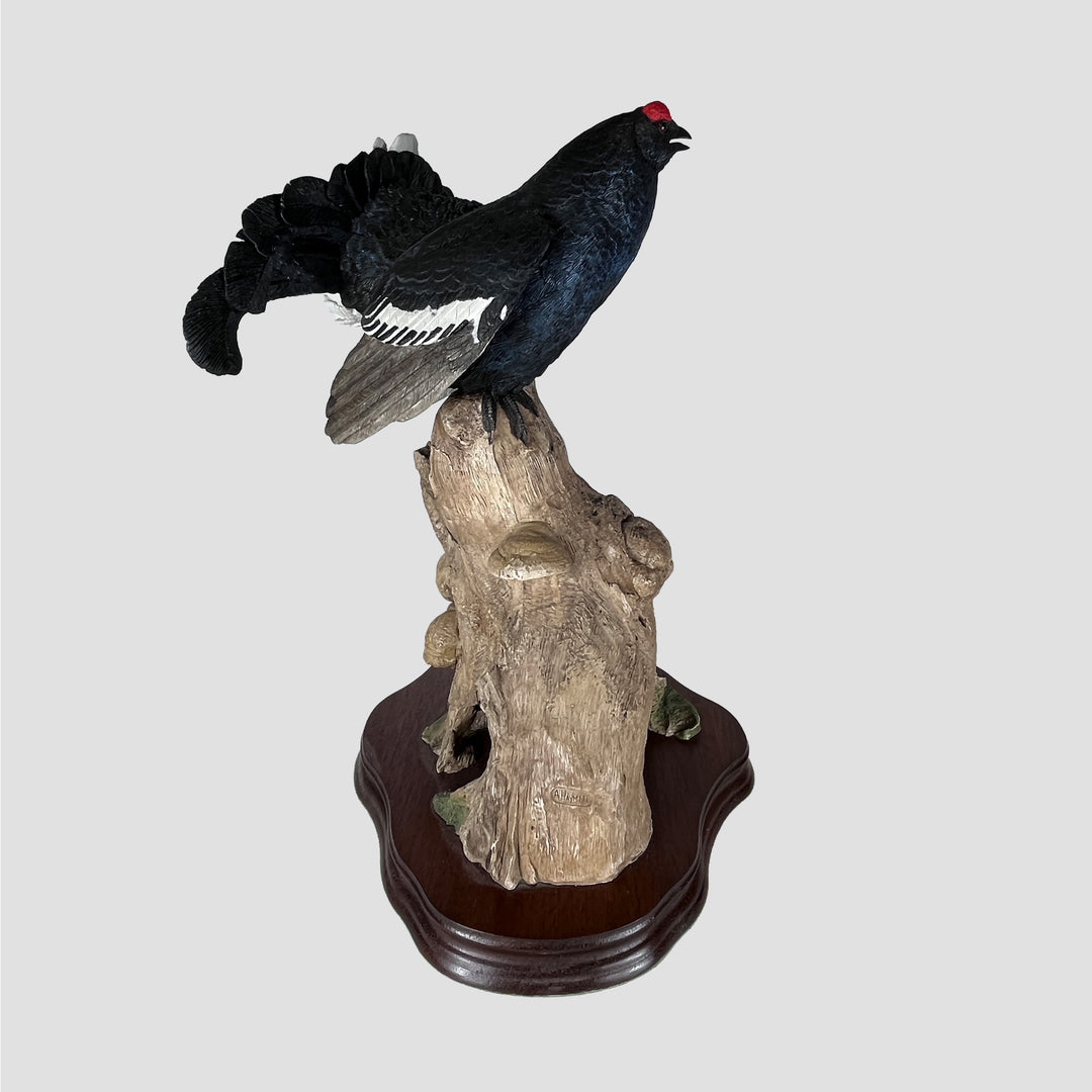 Black Cock - Grouse Model by Wildtrack