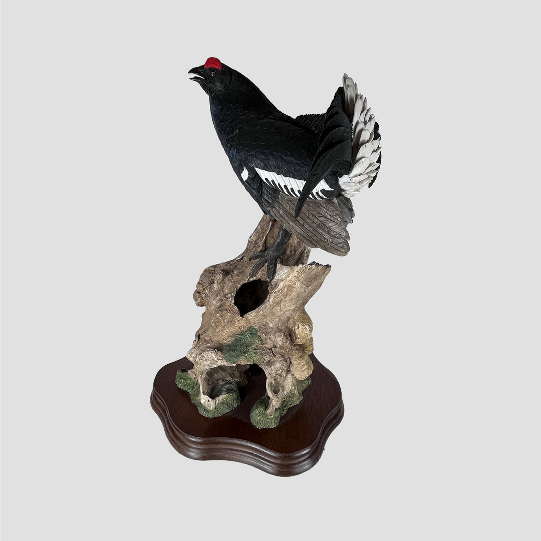 Black Cock - Grouse Model by Wildtrack