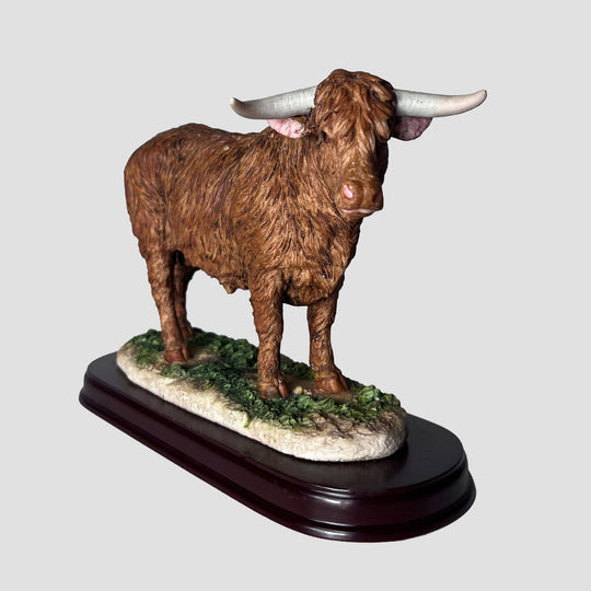 Highland Bull by The Leonardo Collection