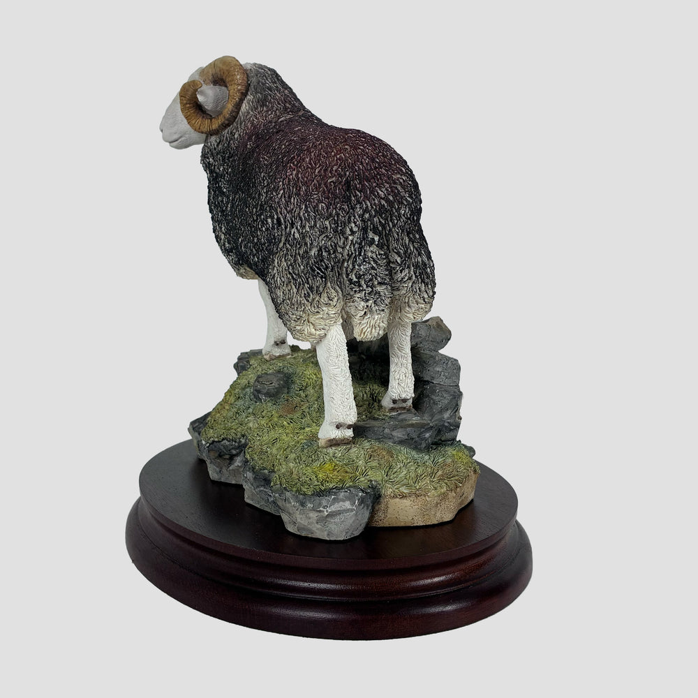 Herdwick Tup Border Fine Arts Limited Edition Sheep Model by Ray Ayres