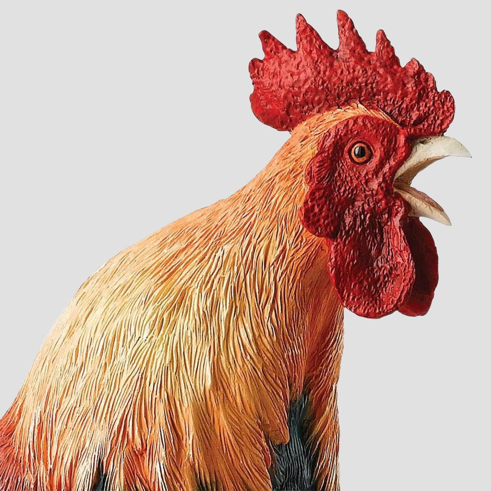 Morning Call Border Fine Arts Cockeral Model