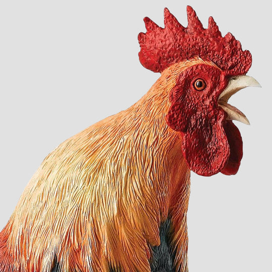 Morning Call Border Fine Arts Cockeral Model