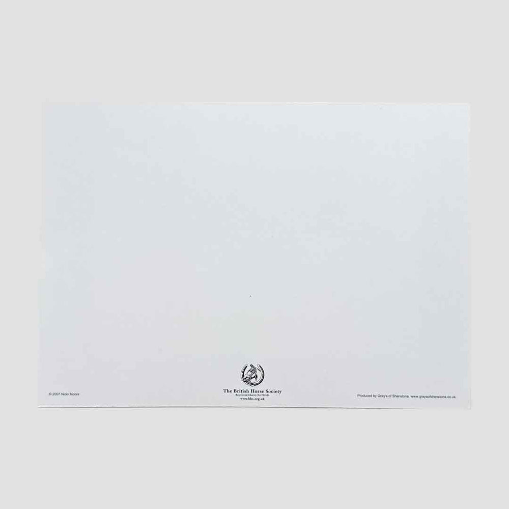 Horse Note Cards