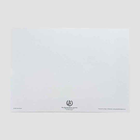 Horse Note Cards