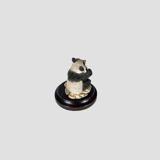 Panda Model by Country Artists
