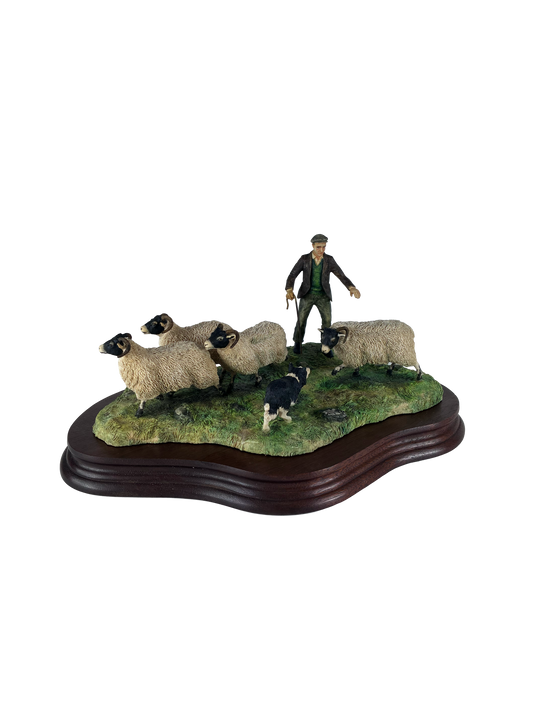 Shedding Shepherd and Sheep by  Border Fine Arts