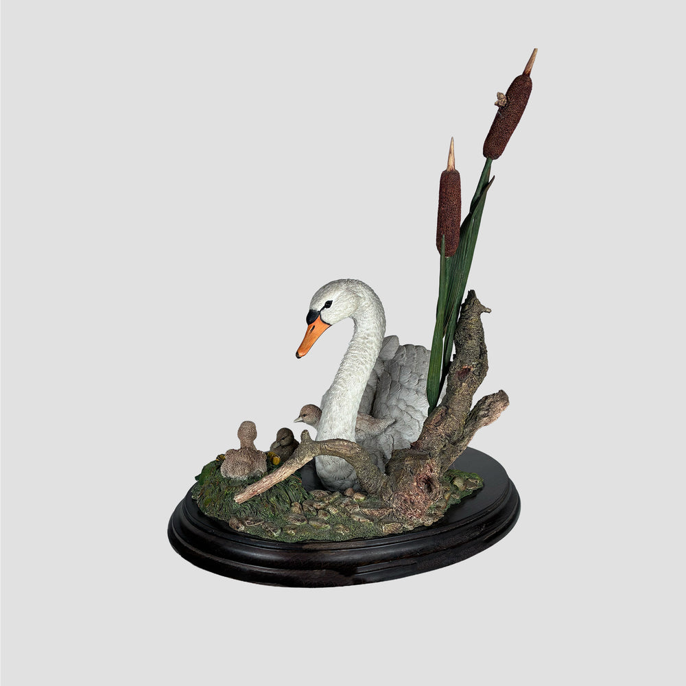 New Arrivals Swan Model by Country Artists