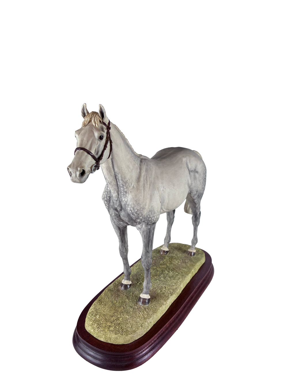 Thoroughbred Stallion Grey Standing Style Two Border Fine Arts Model by Anne Wall