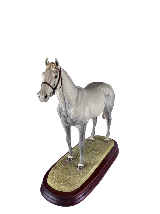 Thoroughbred Stallion Grey Standing Style Two Border Fine Arts Model by Anne Wall
